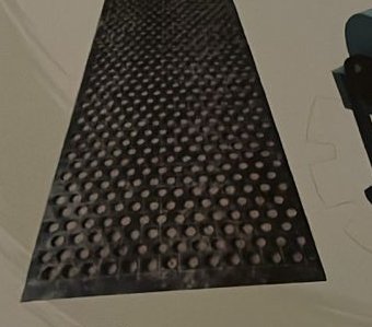 Garlic Sorting Belt